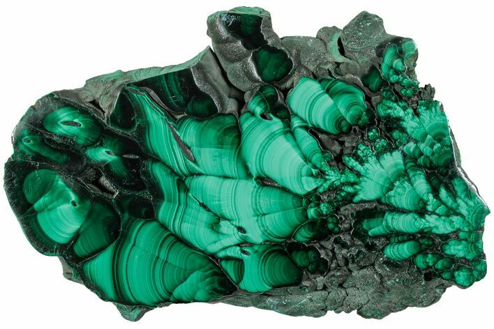 Polished Malachite Slab - Congo #229695